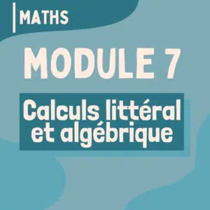 07 - Calculs littéral et algébrique